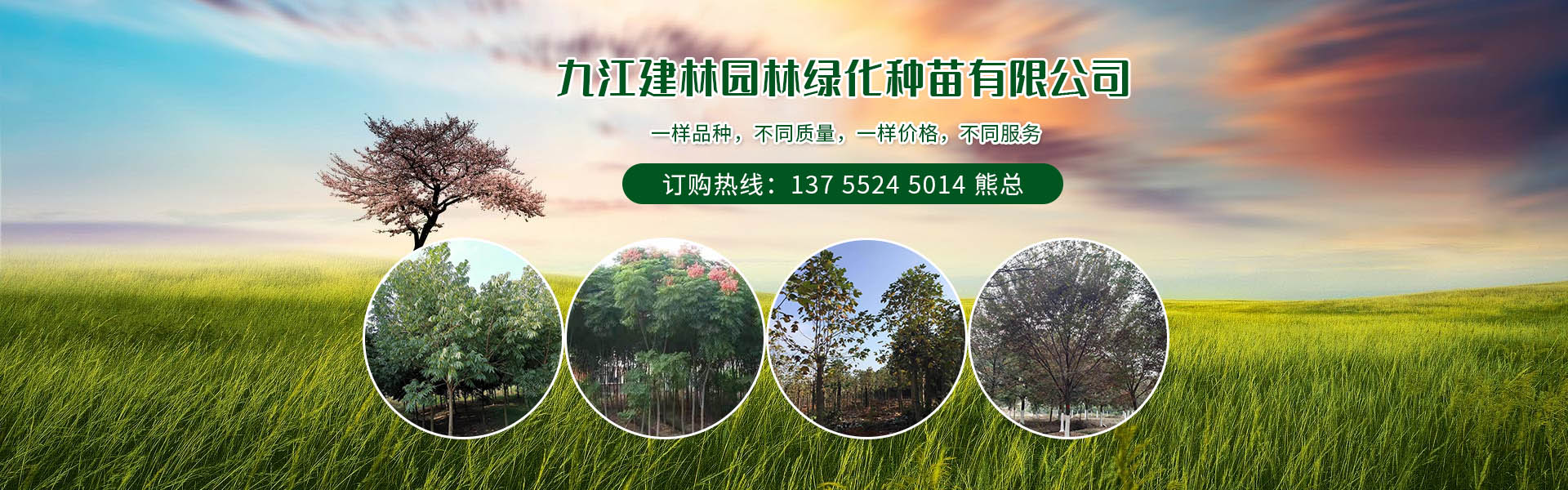 九江建林園林綠化種苗有限公司
